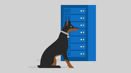 OneDrive Security Dog